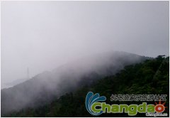 �����������������������������;��